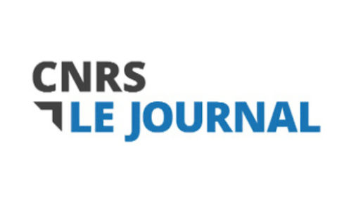 cnrs-journal