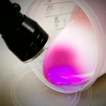 intelligence-couleur