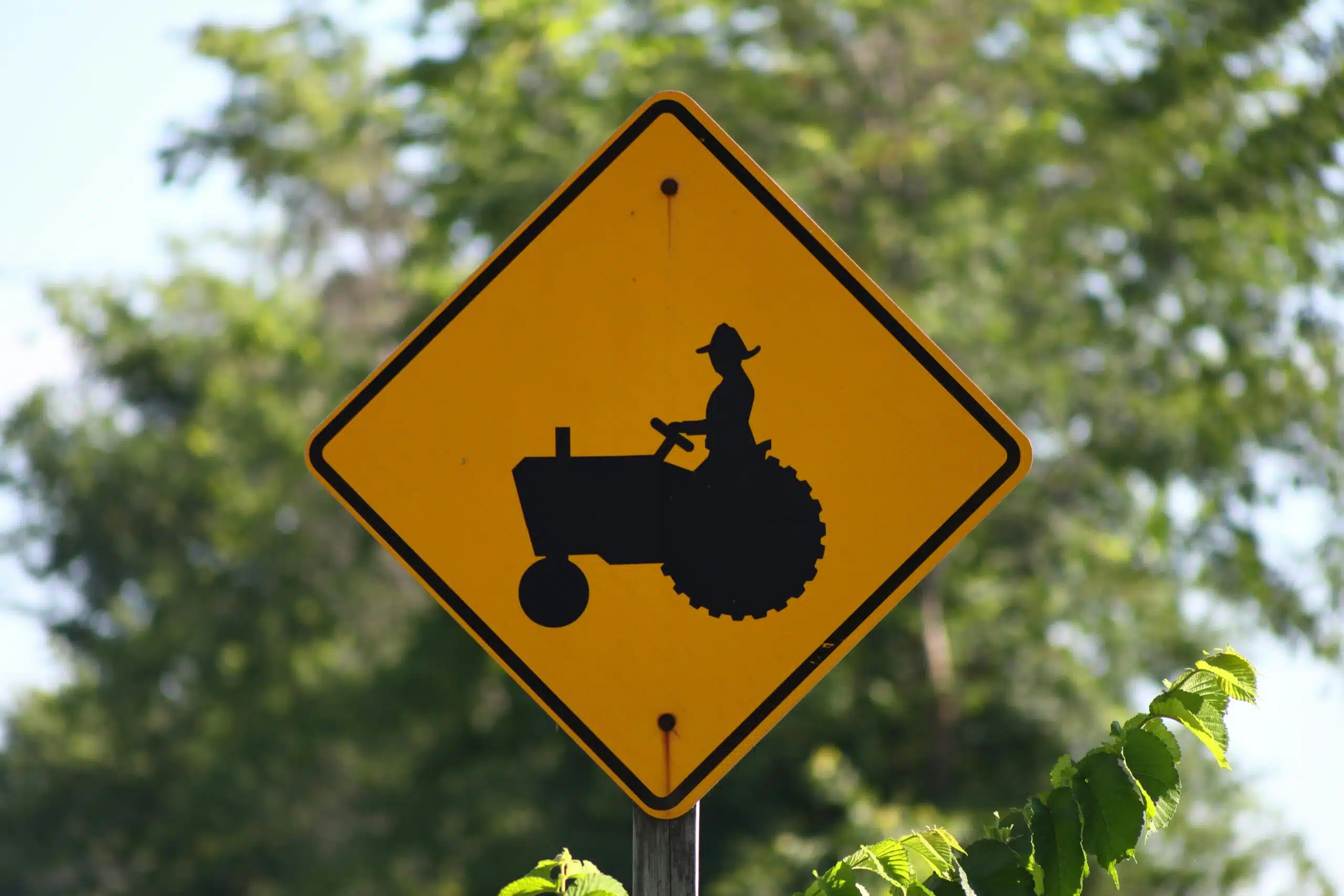 pexels-aaron-j-hill-3434251-5275504